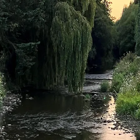 In